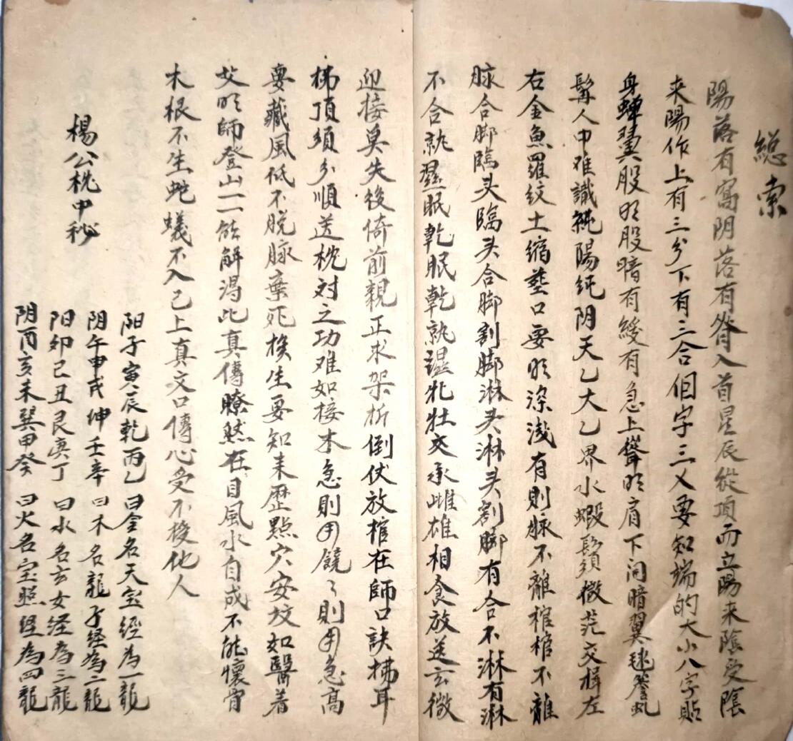 《杨公枕中秘诀》插图6
