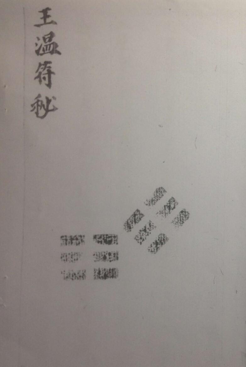 《王温符秘》插图