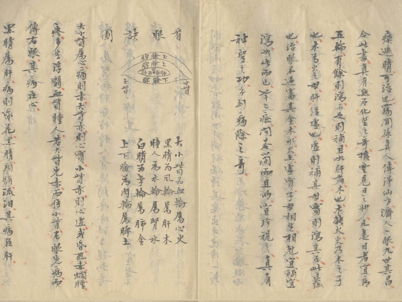 《异授眼科》插图3