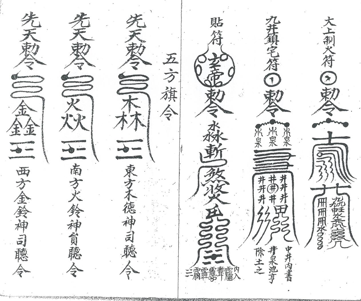 《先天珍火祝旛科》插图6