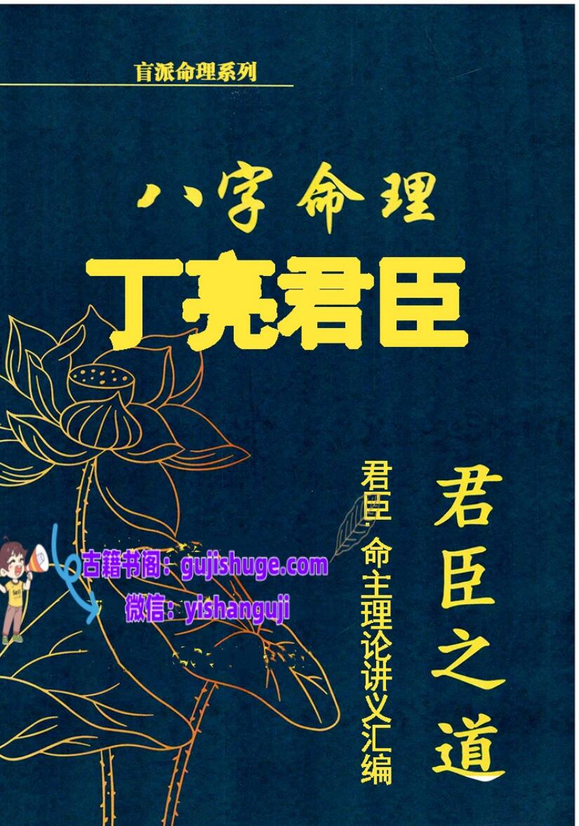 丁亮君臣.命主理论讲义汇编插图