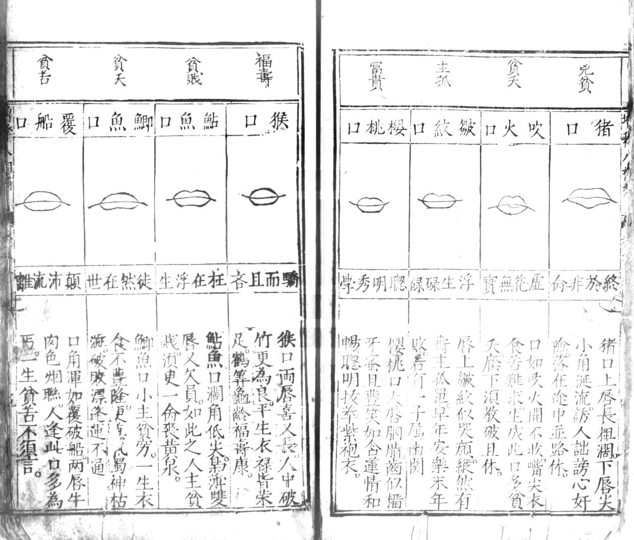 合併麻衣先生人相編插图4