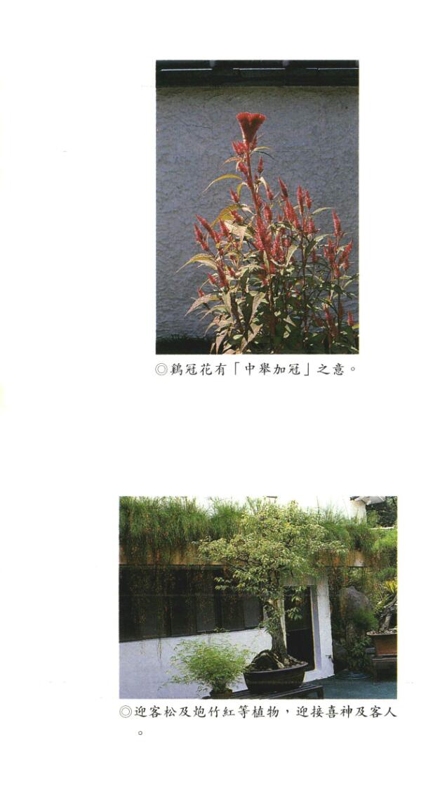 林俊宽博士《风水造命100分》插图5
