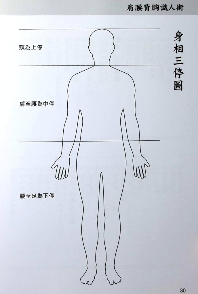 《肩腰背胸识人术》李英才插图5
