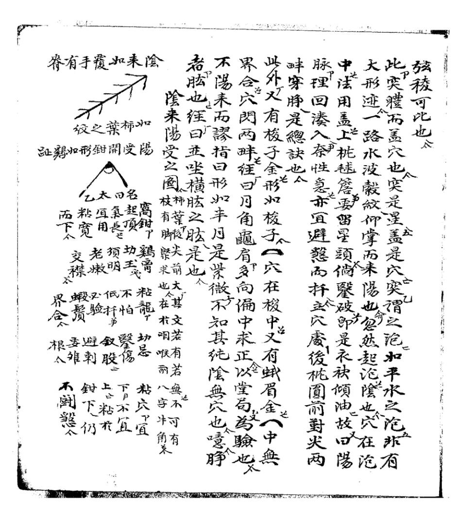 《穴法分受集》插图5