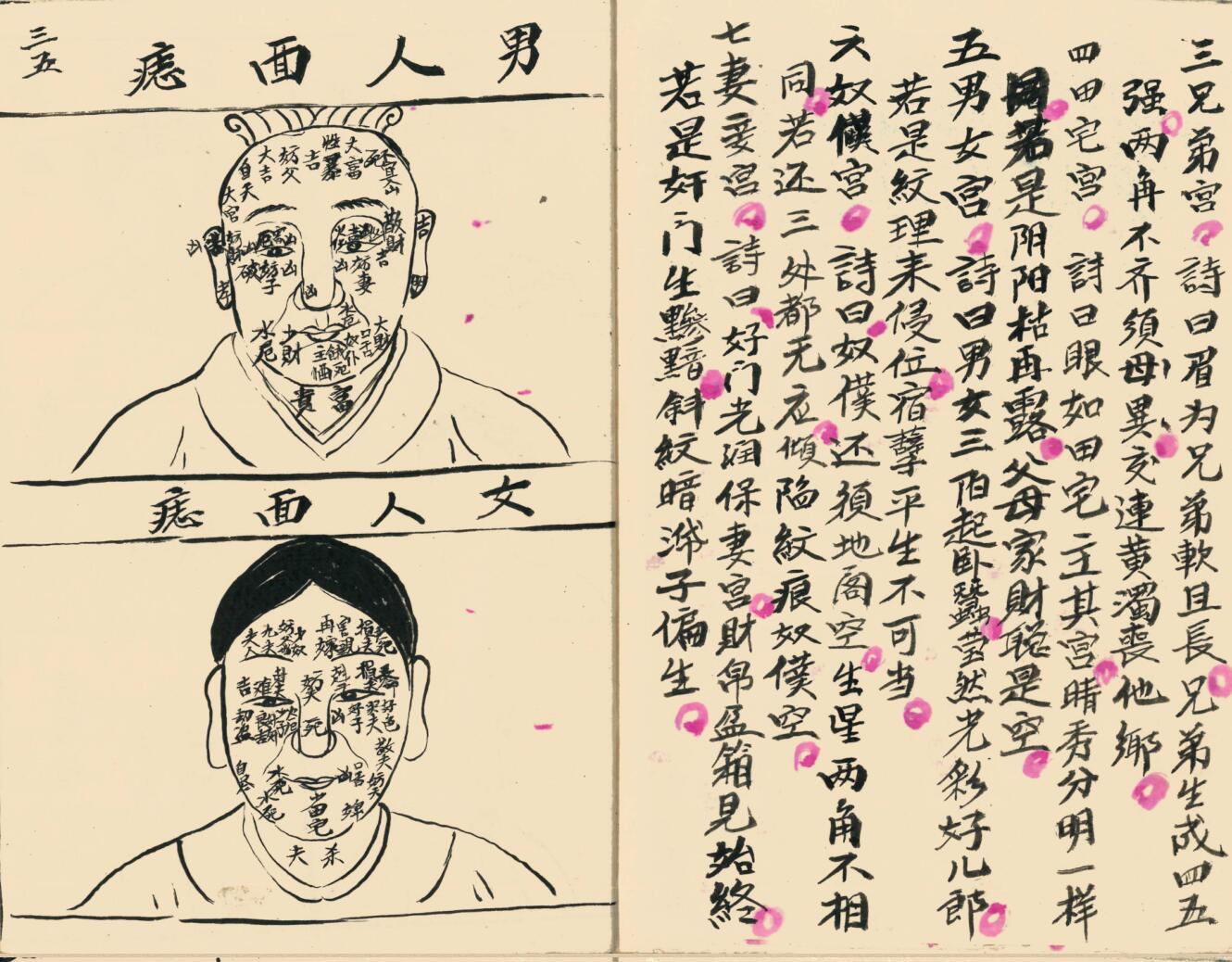 《柳庄相法》刘愉安插图8