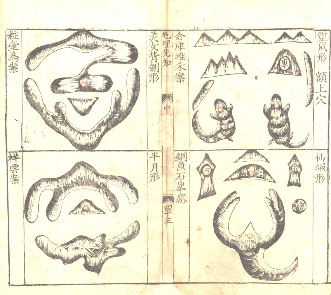 《入眼福地先知》插图7