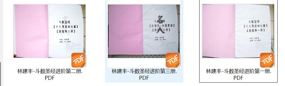 林建丰-《斗数圣经进阶篇-飞宫四化、飞星四化篇、命盘实论(有水印)》插图5