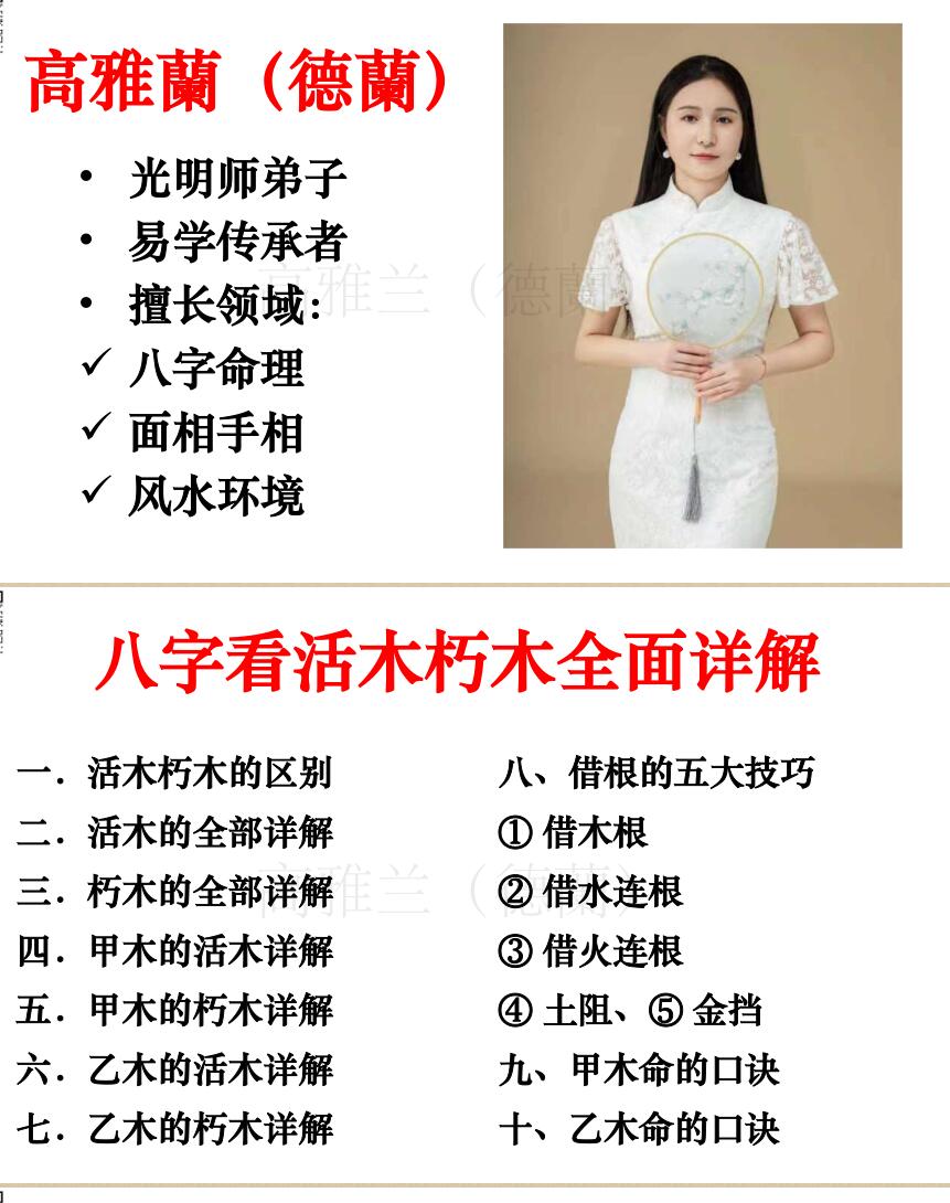 高雅兰《八字看活木朽木全面详解》插图