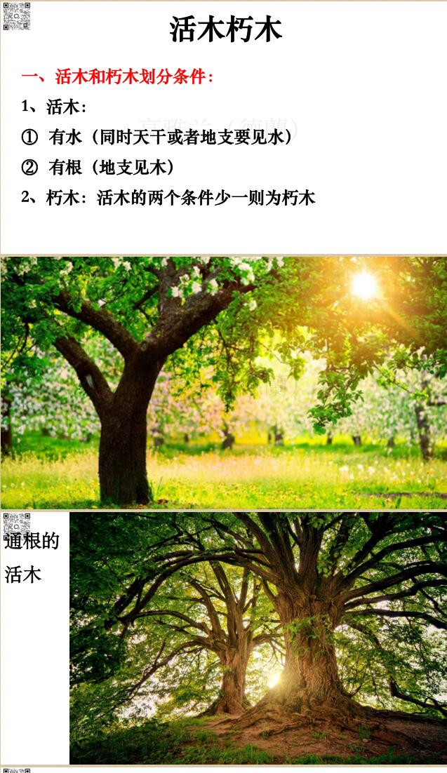 高雅兰《八字看活木朽木全面详解》插图2