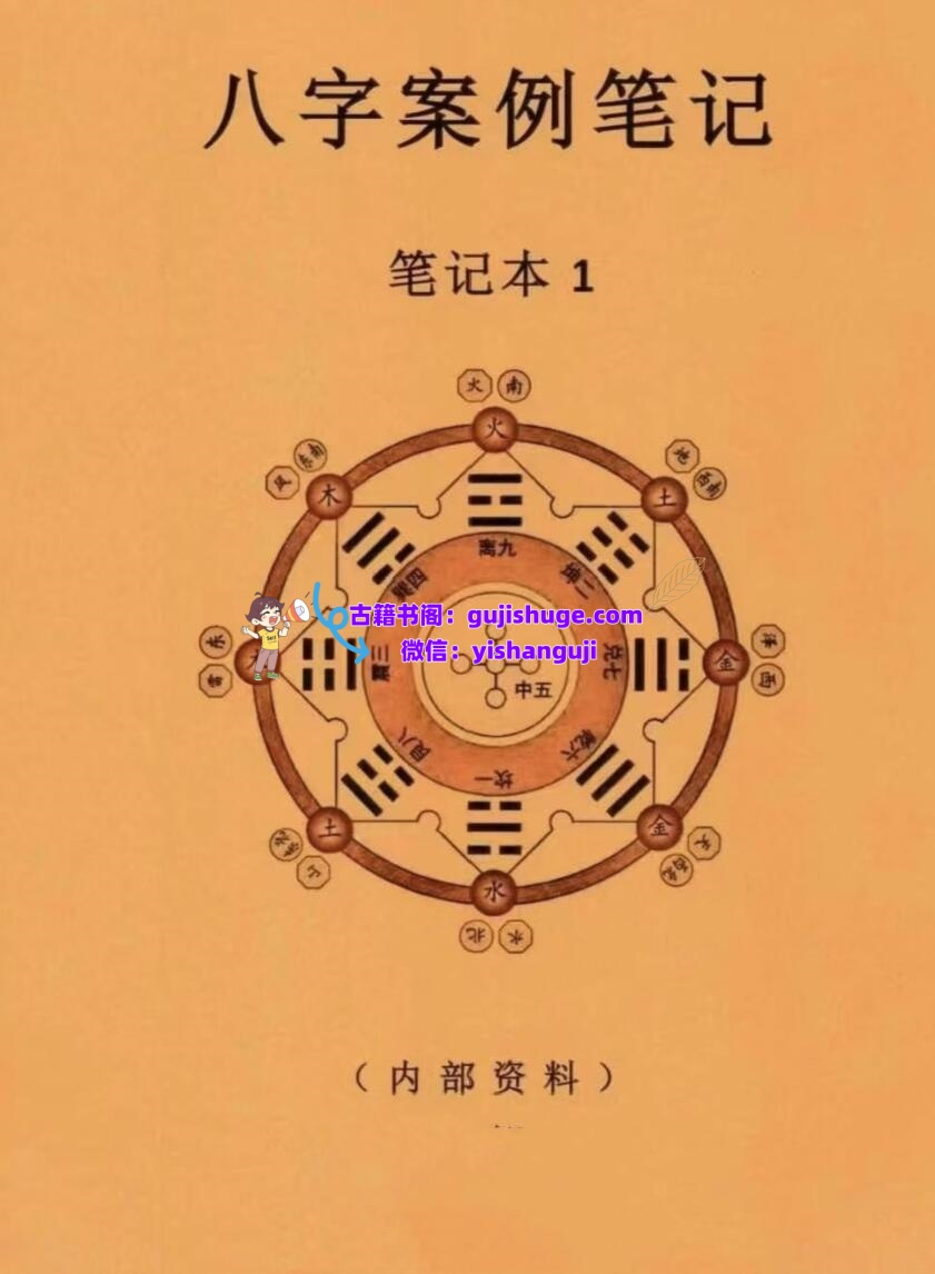 八字案例笔记一套两本PDF电子书2本插图