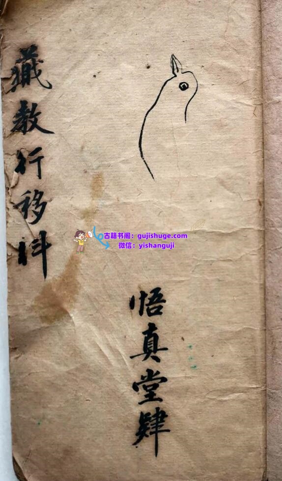 《 藏教行移科》插图