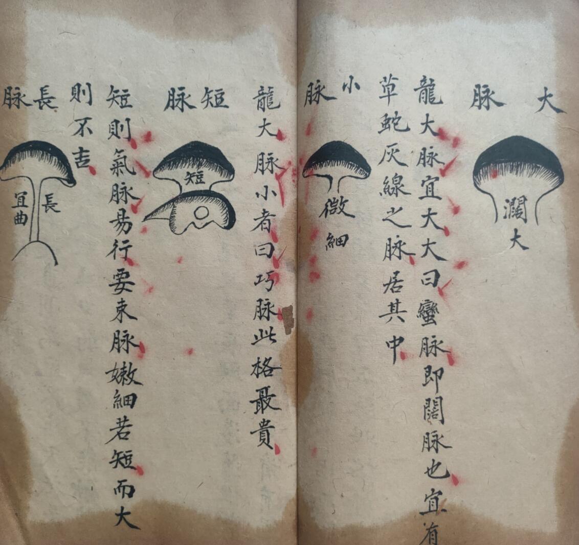 《杨公地理秘诀》插图7
