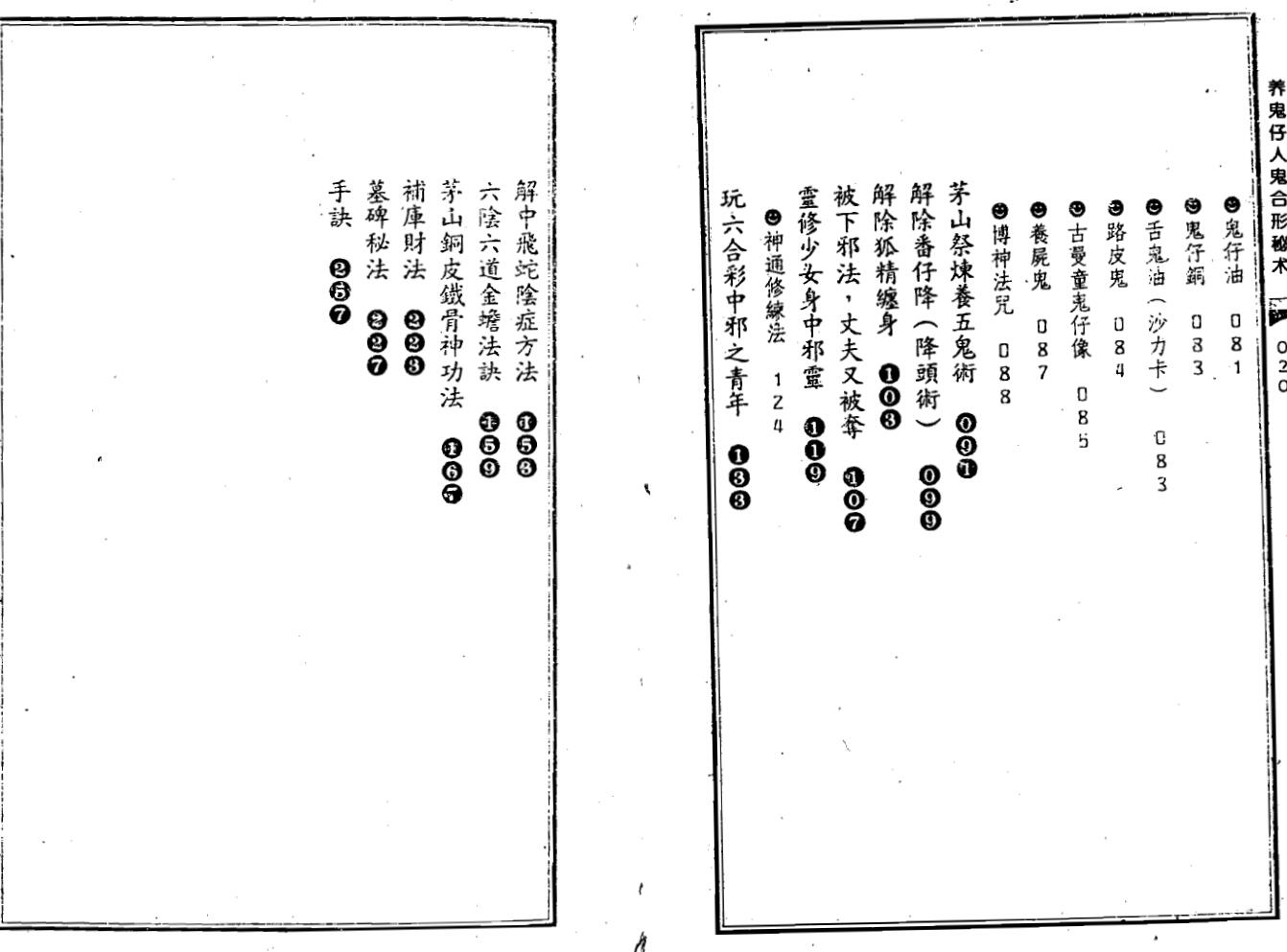 苏连龙《养鬼仔人鬼合形秘术》插图2
