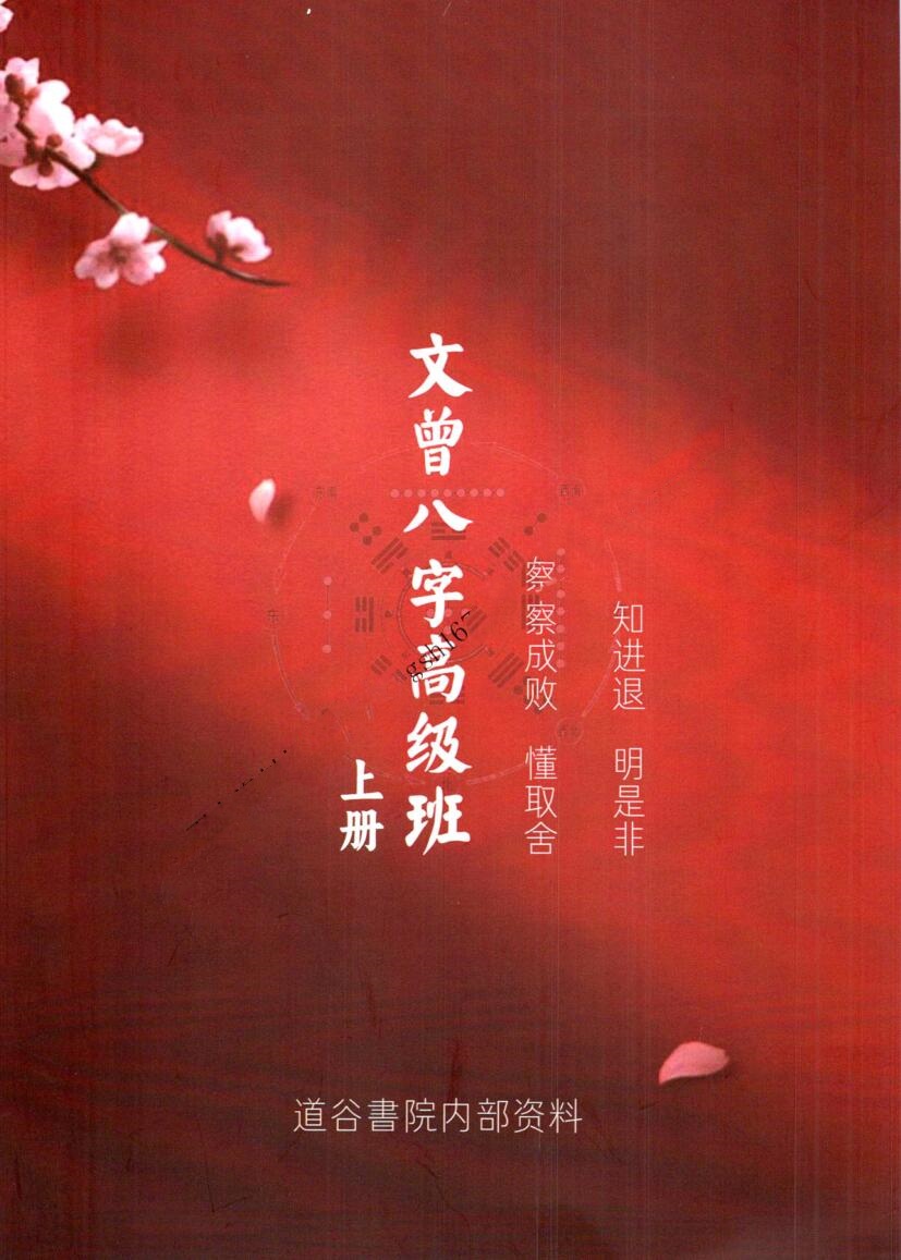 文曾-《盲派八字高级班》插图