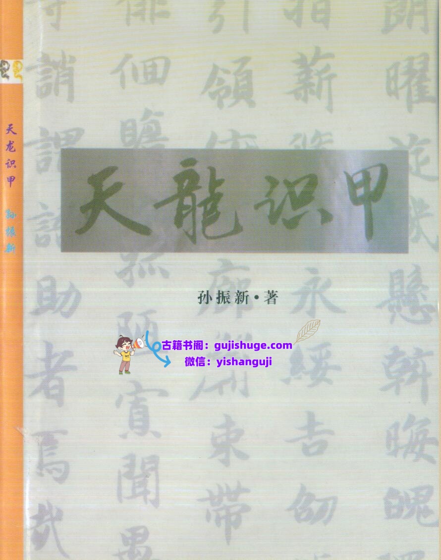 孙振新《丧葬礼仪：天龙识甲》插图