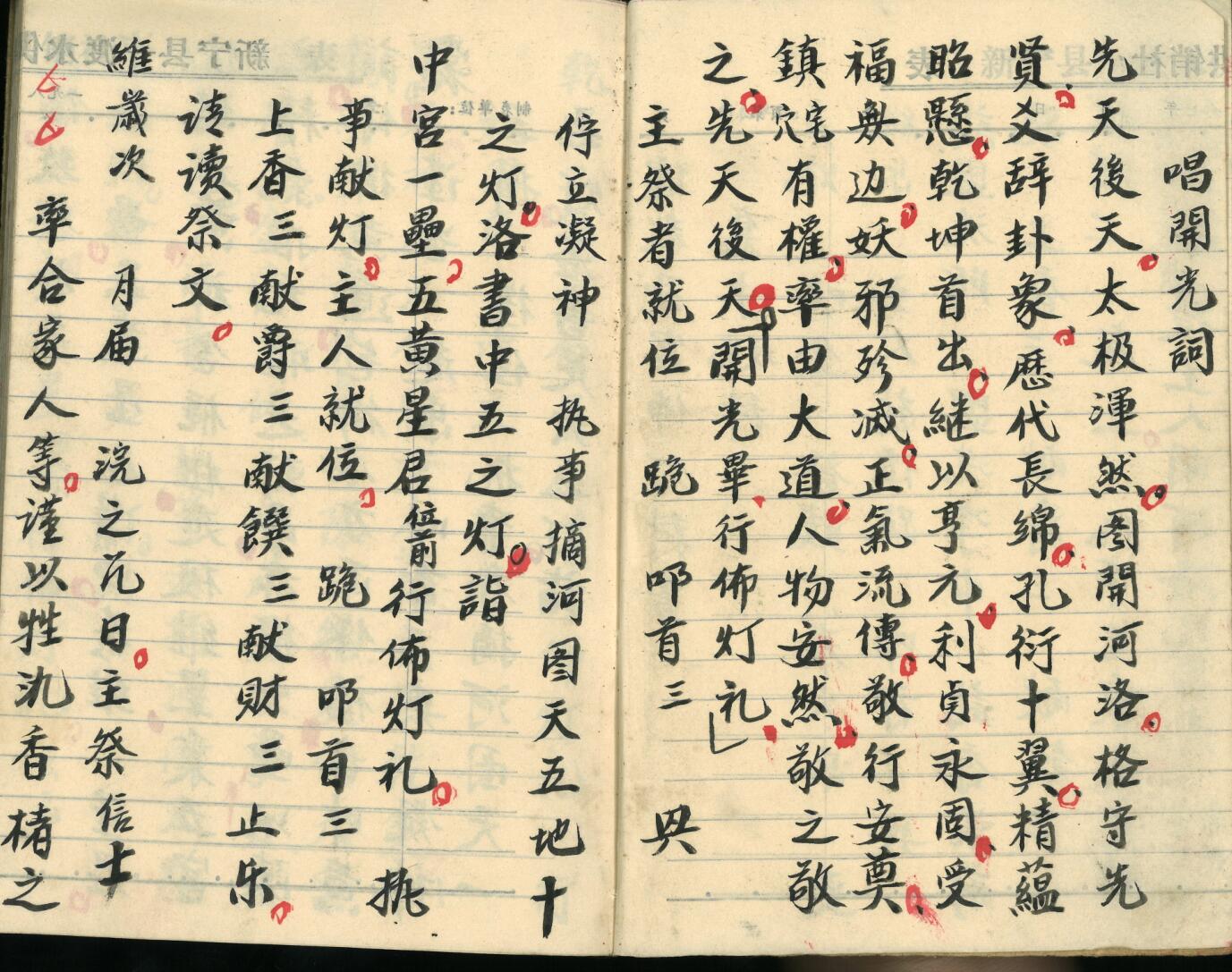 《飞宫佈灯科》插图3