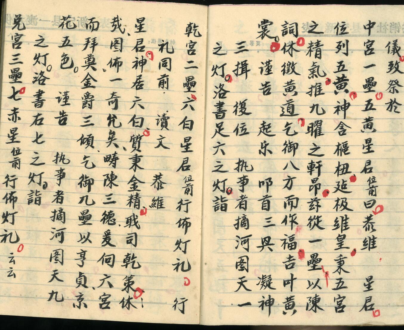 《飞宫佈灯科》插图4