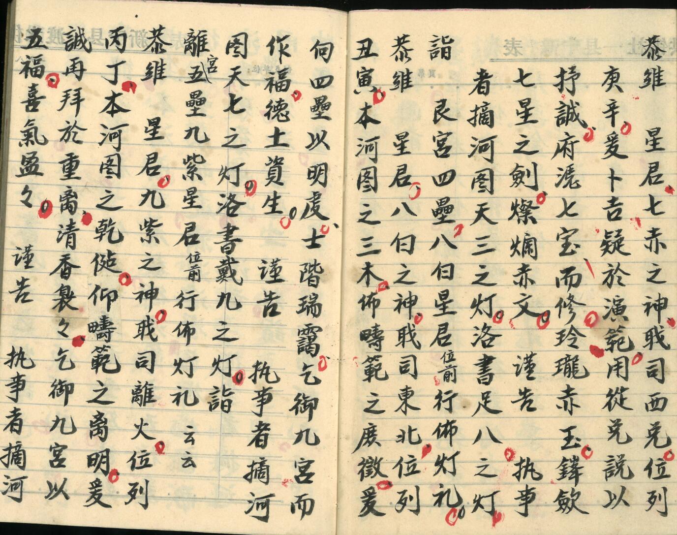 《飞宫佈灯科》插图5
