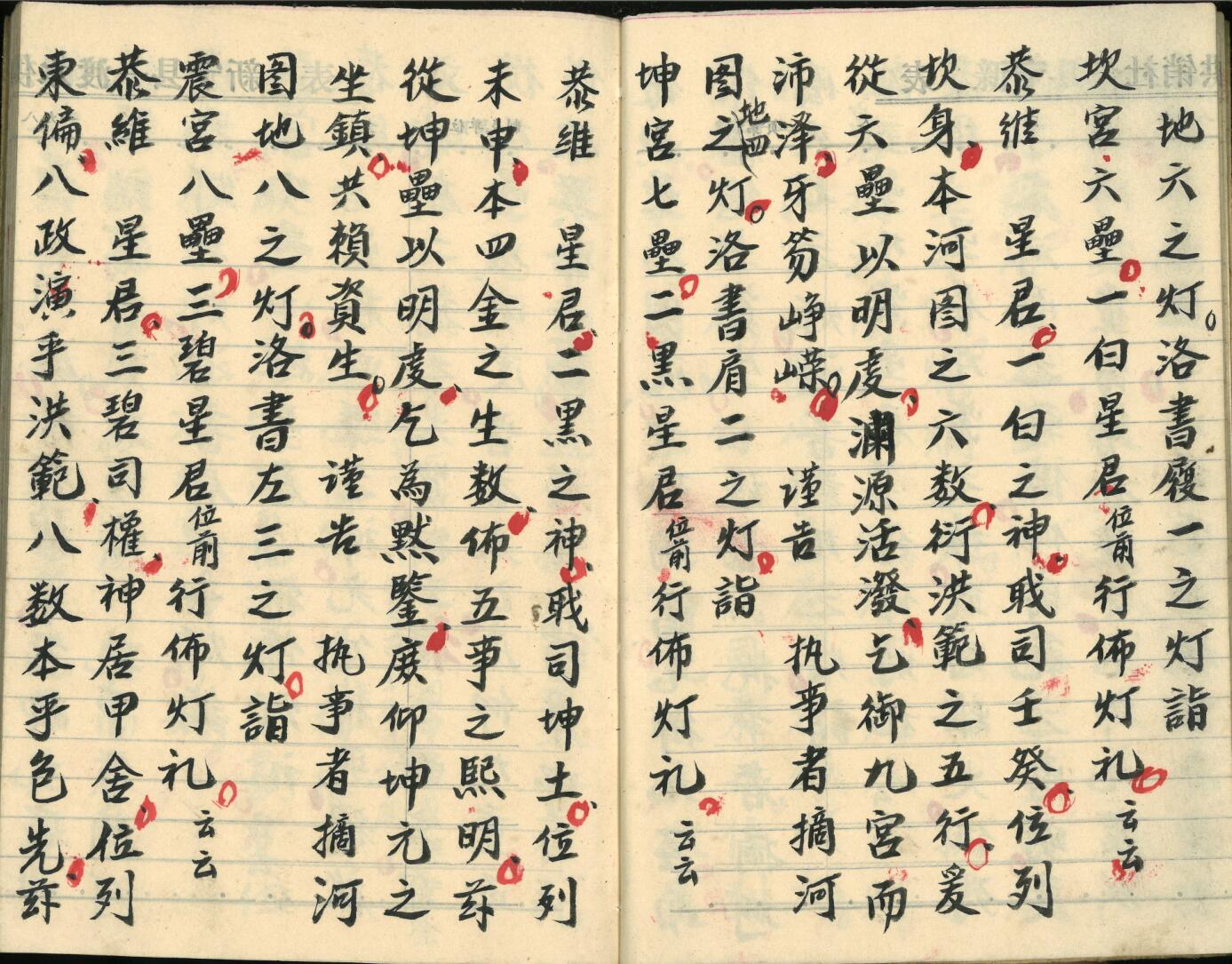 《飞宫佈灯科》插图6