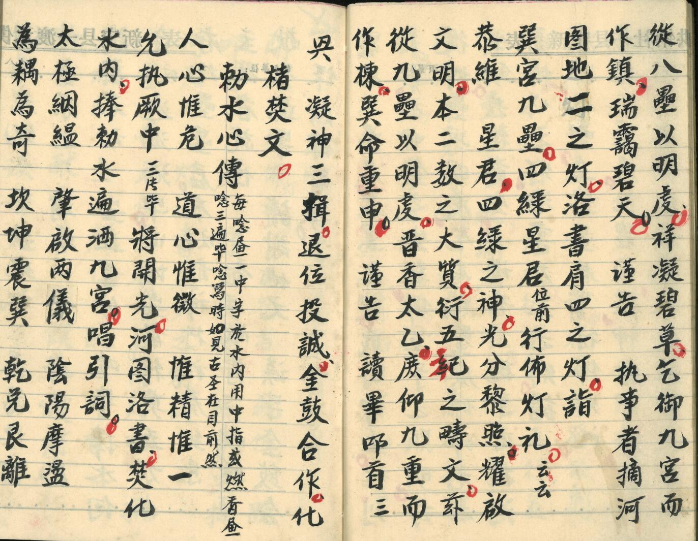 《飞宫佈灯科》插图7