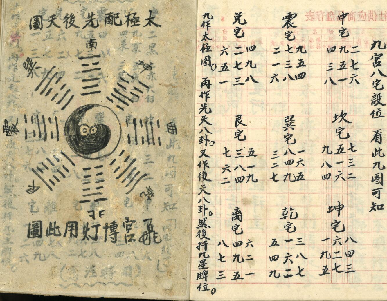 《飞宫佈灯科》插图8