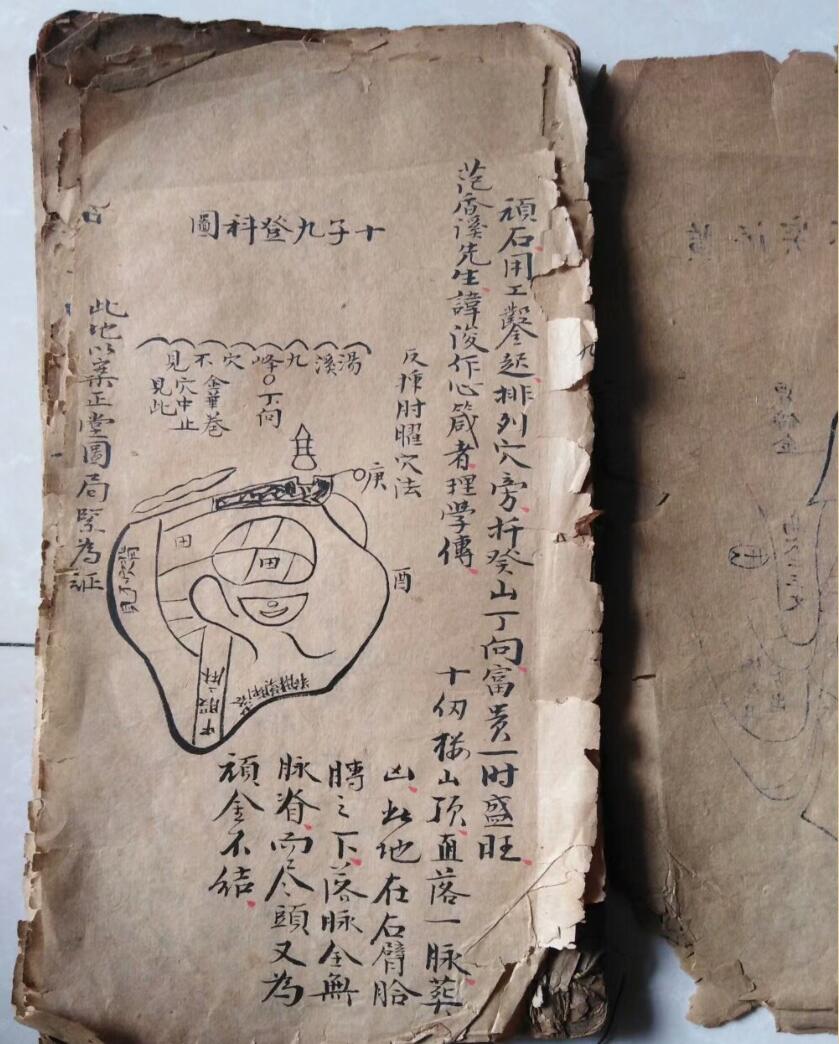 江西真传焦仁山西山草庐真旨八条歌真诀残本插图2