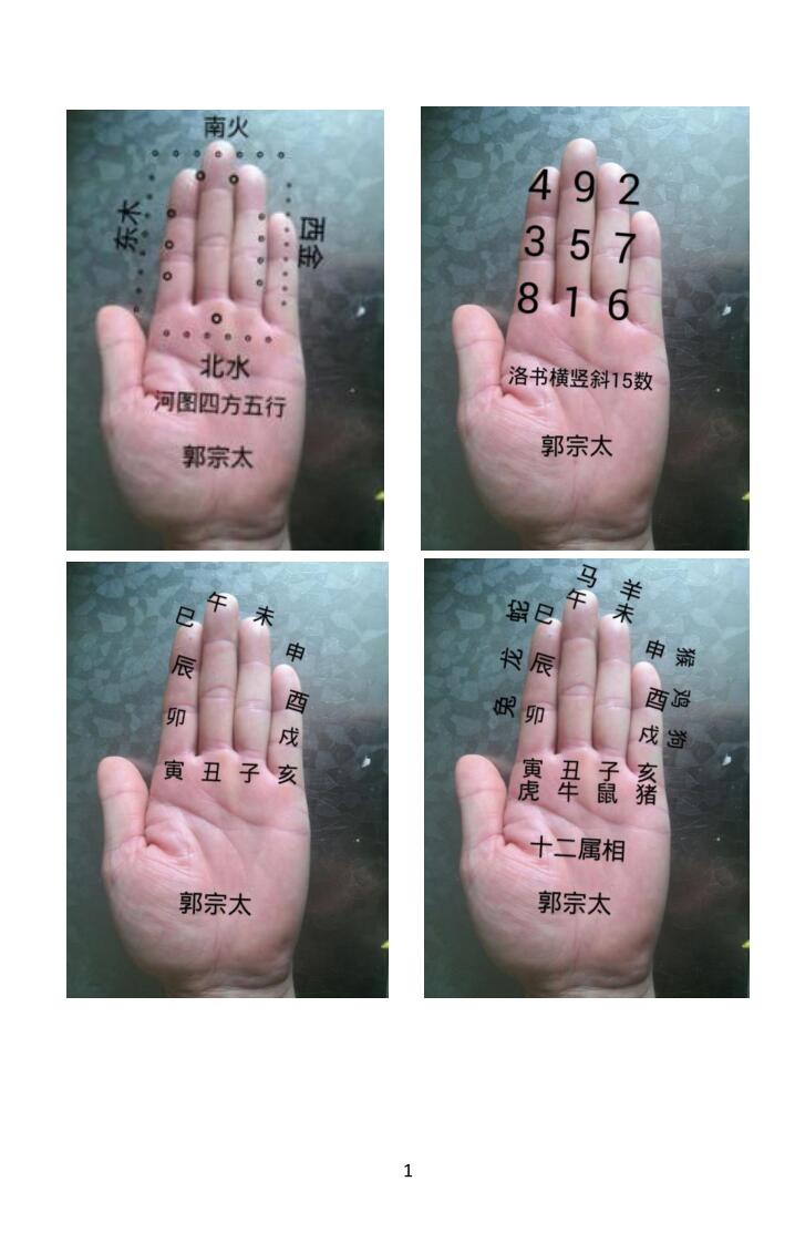 《易学130种掌诀》插图