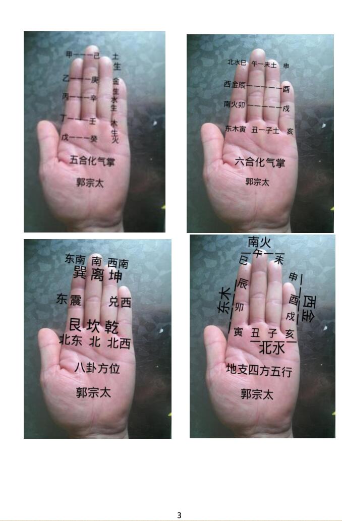 《易学130种掌诀》插图2