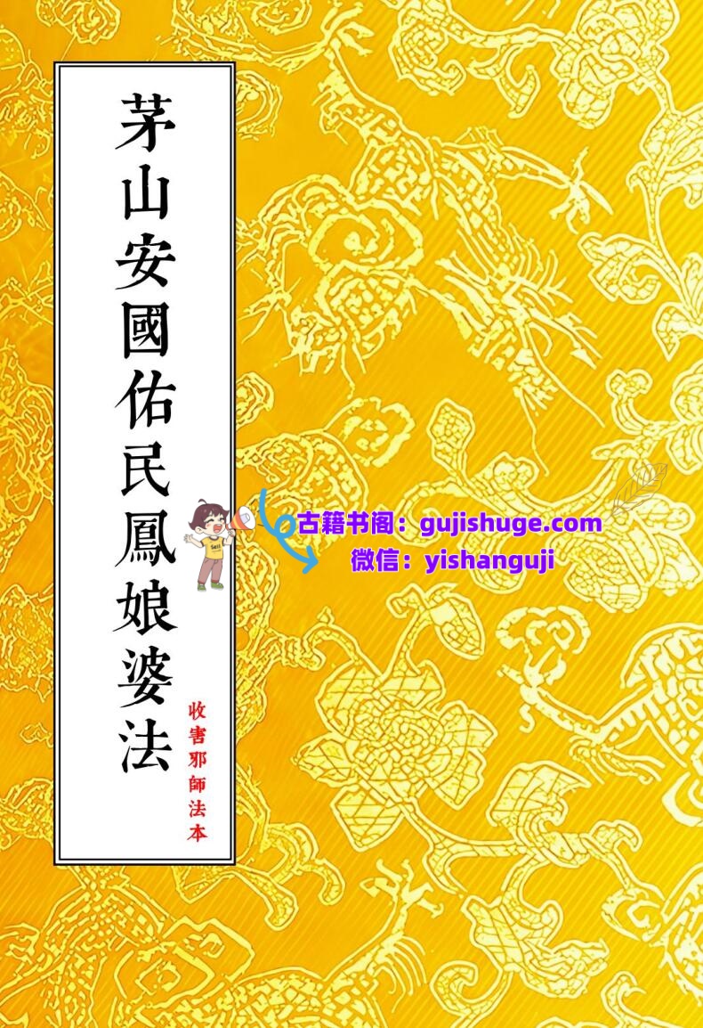 《茅山安国佑民凤娘婆法》插图